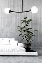 HALLDOR 2 BLACK
