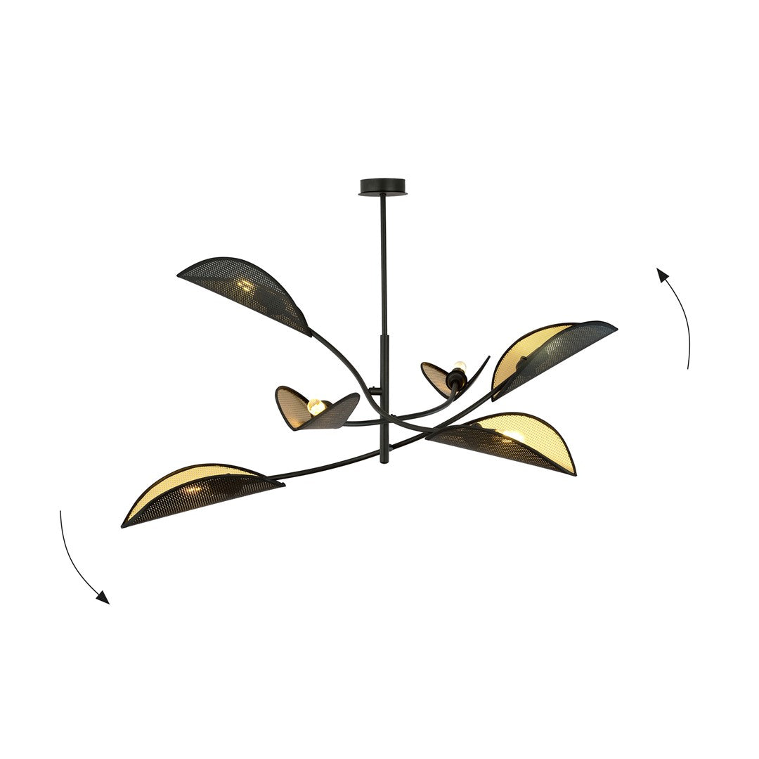 LOTUS 6 BLACK/GOLD