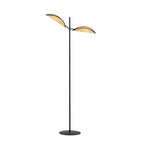 VENE LP2 BLACK/RATTAN