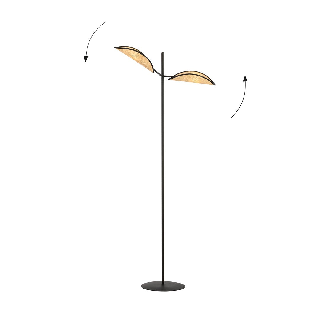 VENE LP2 BLACK/RATTAN