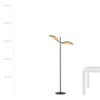 VENE LP2 BLACK/RATTAN