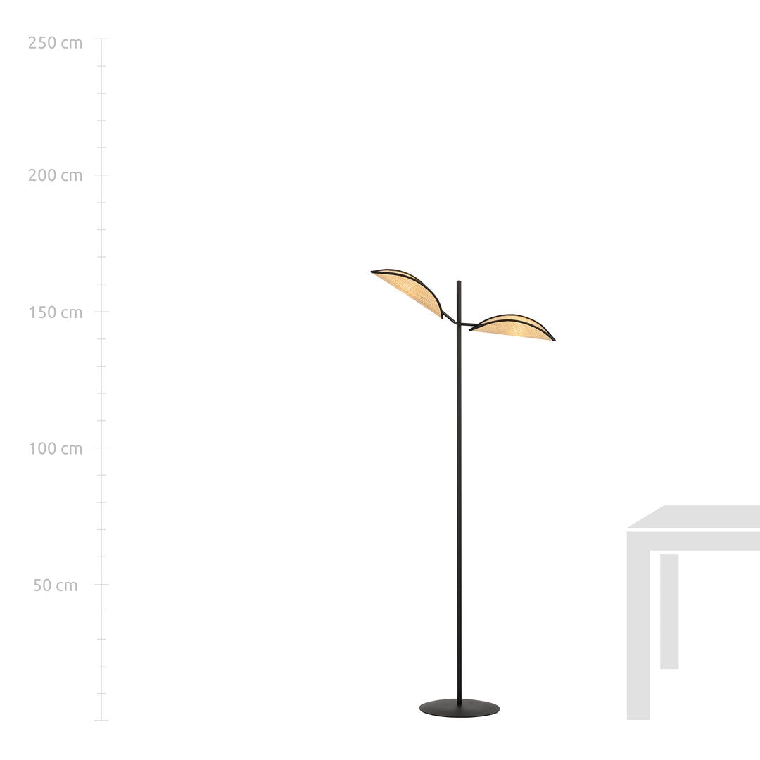 VENE LP2 BLACK/RATTAN