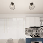 NEST 1 BL