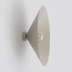 MONO K1L MOKKA AMBER