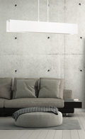 GENTOR 2 WHITE