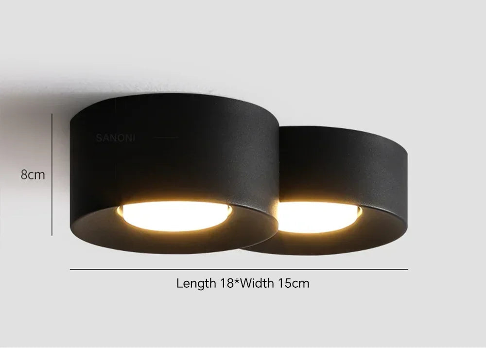 https://ae01.alicdn.com/kf/S89202a84af7f43b48ac898e4d951704cD/Modern-LED-Ceiling-Lamp-Cylinder-Ceiling-Spotlight-for-Bedroom-Hallway-Aisle-Minimalist-Indoor-Home-Decoration-Lighting.jpg