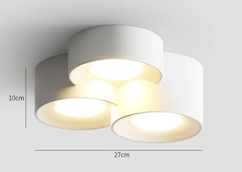 https://ae01.alicdn.com/kf/S73ec9061777c405c86b78756f7ab391al/Modern-LED-Ceiling-Lamp-Cylinder-Ceiling-Spotlight-for-Bedroom-Hallway-Aisle-Minimalist-Indoor-Home-Decoration-Lighting.jpg