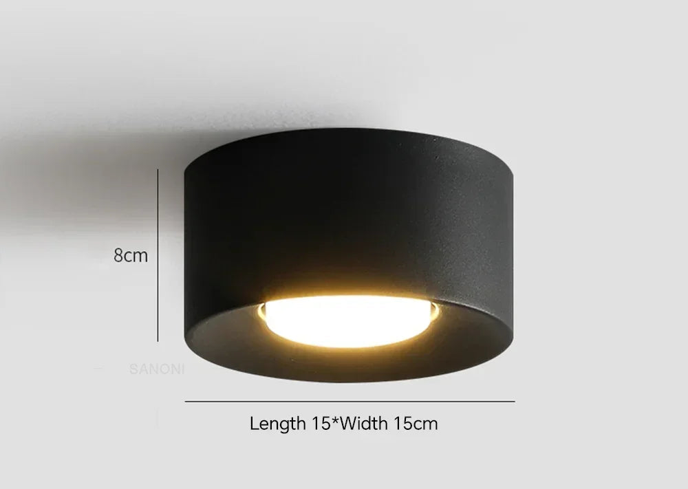 https://ae01.alicdn.com/kf/Sb4f01611efb94320bf2a1e4cfb5b387cr/Modern-LED-Ceiling-Lamp-Cylinder-Ceiling-Spotlight-for-Bedroom-Hallway-Aisle-Minimalist-Indoor-Home-Decoration-Lighting.jpg