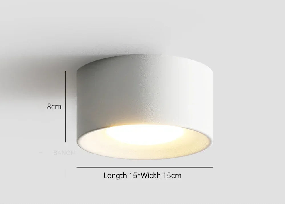 https://ae01.alicdn.com/kf/Sf1ed08c2f7324607b7573a207a073f99E/Modern-LED-Ceiling-Lamp-Cylinder-Ceiling-Spotlight-for-Bedroom-Hallway-Aisle-Minimalist-Indoor-Home-Decoration-Lighting.jpg