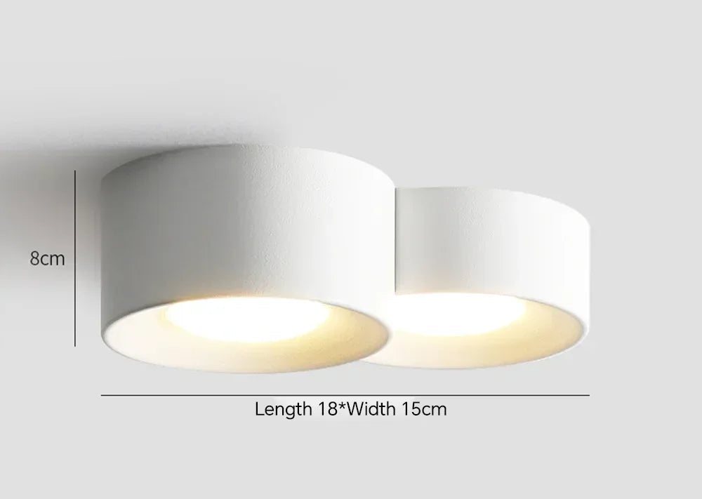 https://ae01.alicdn.com/kf/Sedef7db2d50c45f7a3c1fd727c8456b3L/Modern-LED-Ceiling-Lamp-Cylinder-Ceiling-Spotlight-for-Bedroom-Hallway-Aisle-Minimalist-Indoor-Home-Decoration-Lighting.jpg