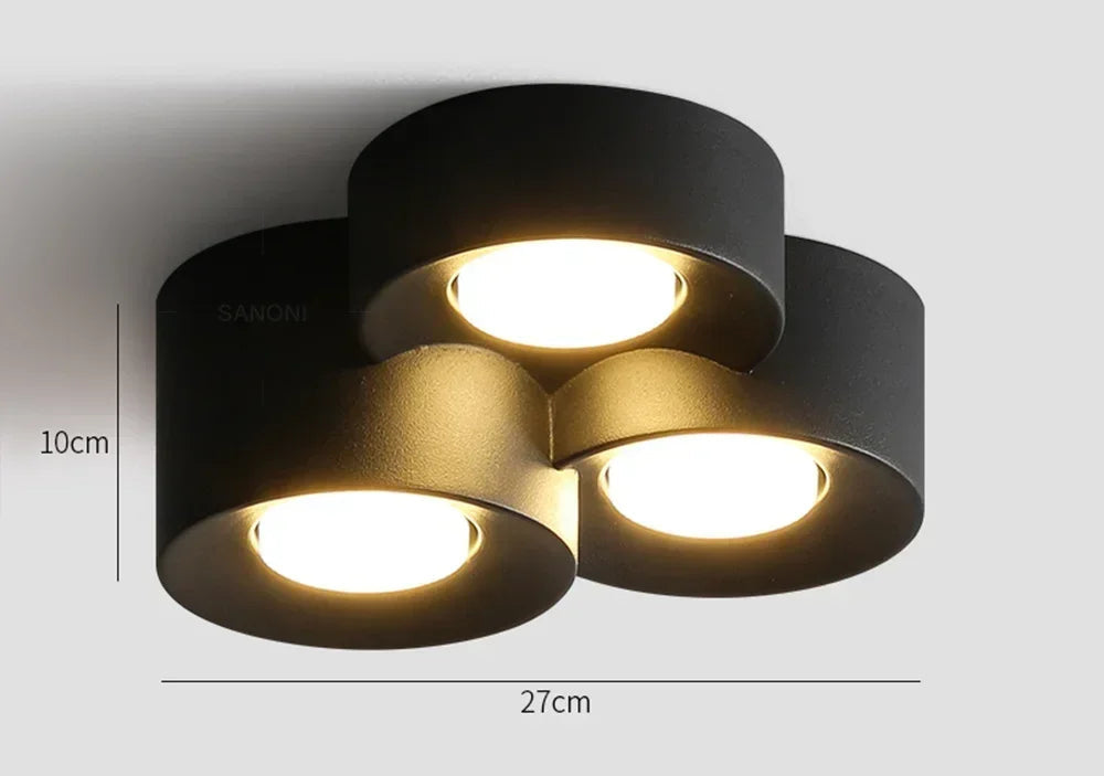 https://ae01.alicdn.com/kf/Se392e1933c82497997aab61276963019D/Modern-LED-Ceiling-Lamp-Cylinder-Ceiling-Spotlight-for-Bedroom-Hallway-Aisle-Minimalist-Indoor-Home-Decoration-Lighting.jpg