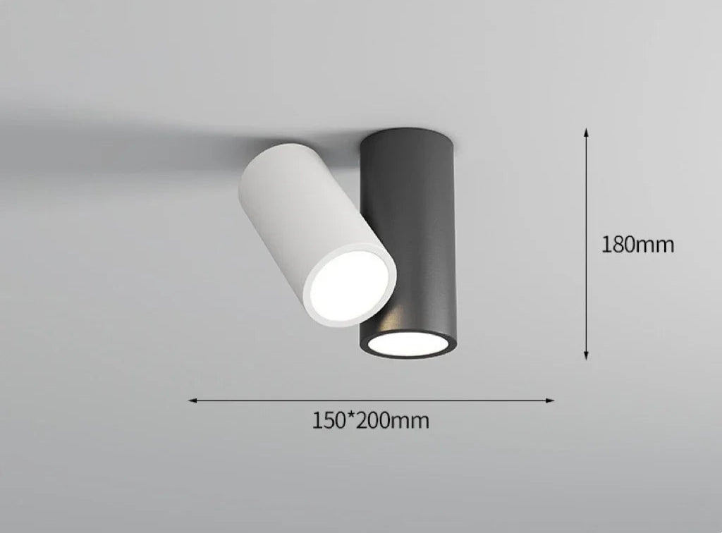 Lampa sufitowa NoEnName_Null, podwójna, biało-czarna, przód, do nowoczesnych salonów